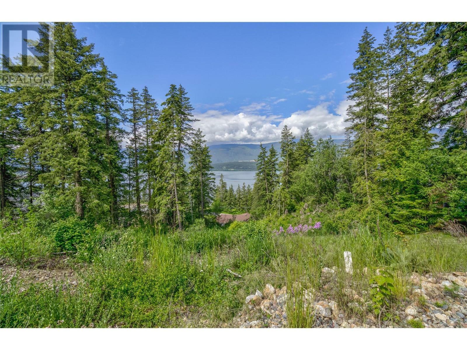 Property Photo:  3541 20 Street Northeast  BC V1E 2G9 