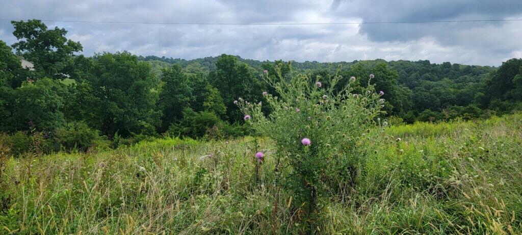 Property Photo:  15711 Pfanstiehl Road  KY 41033 