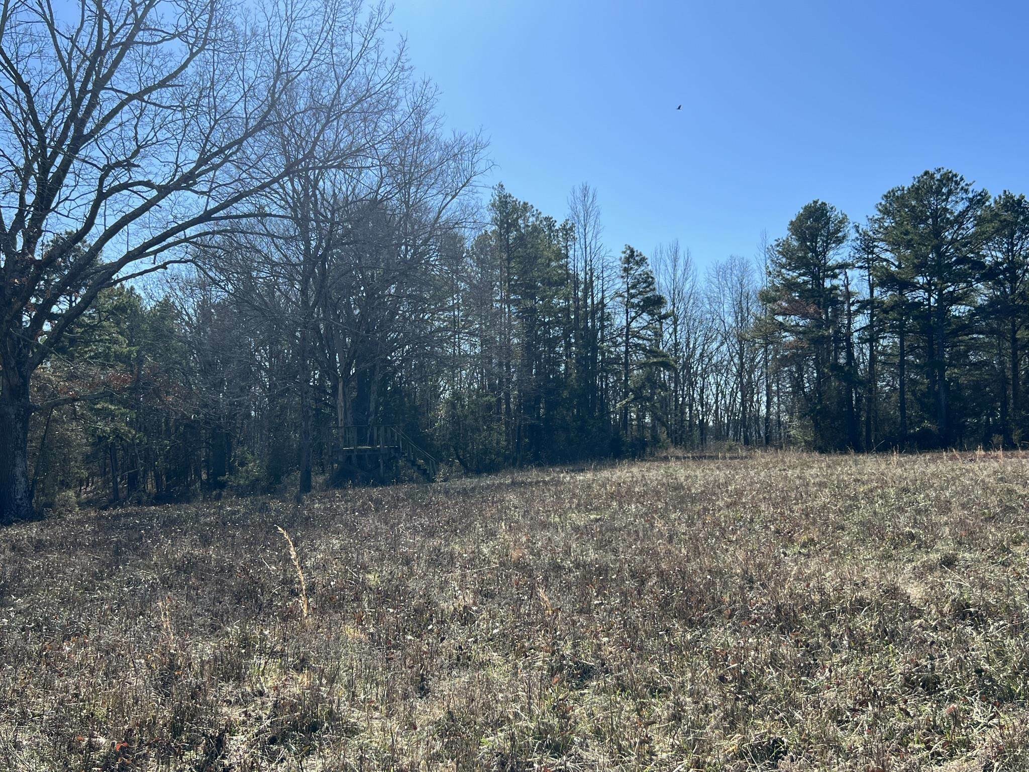 Property Photo:  510 Old Waters Highway  AR 71961 