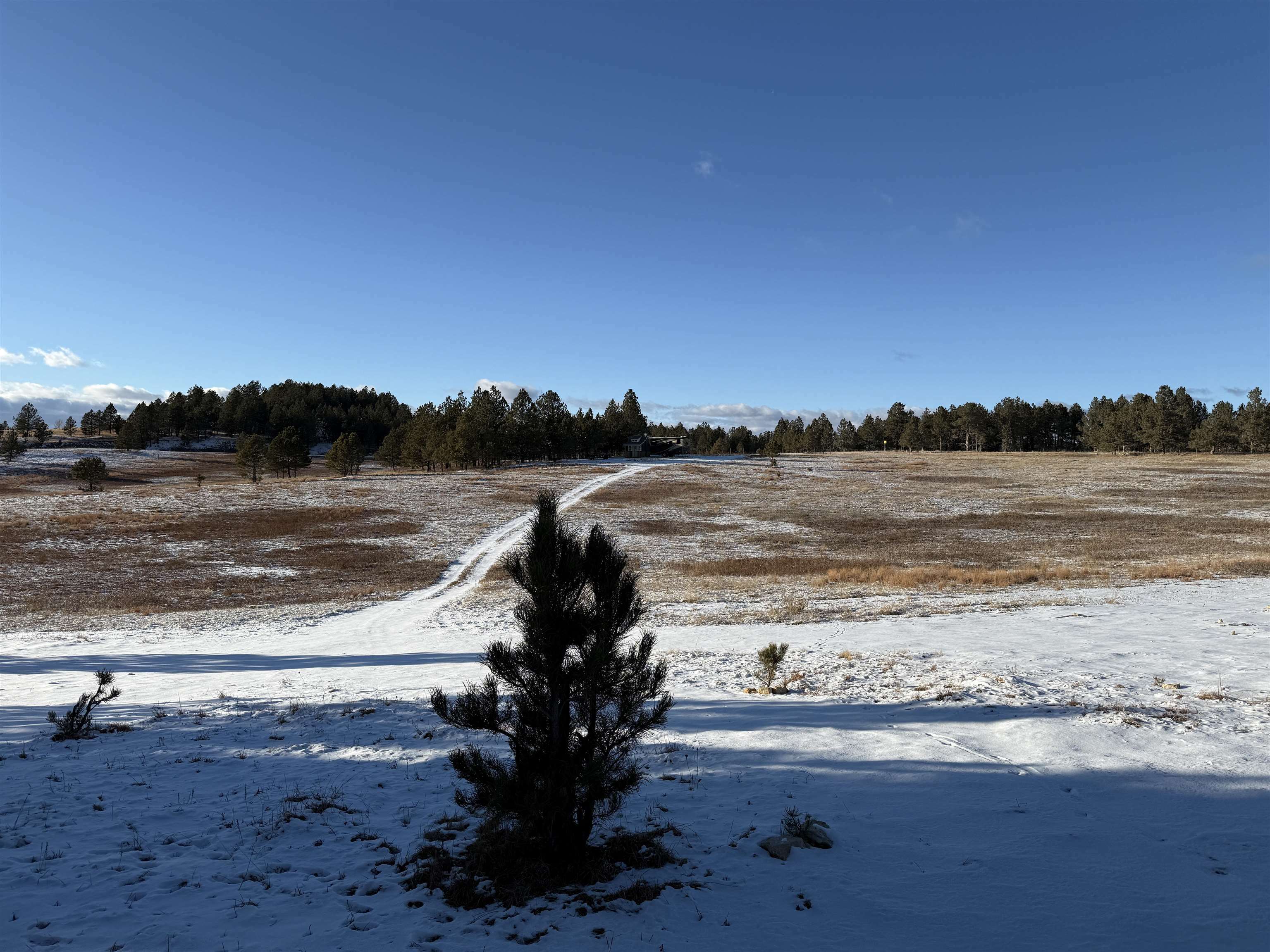 26641 Lonesome Dove Street  Custer SD 57730 photo