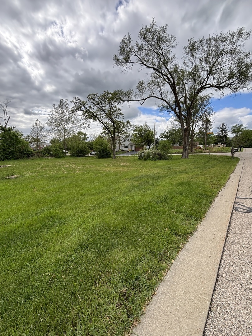 Property Photo: 1282 N Grove Avenue IL 60067