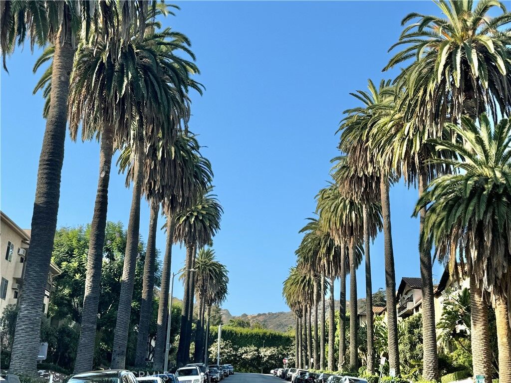 Property Photo:  1735 N Fuller Avenue 425  CA 90046 