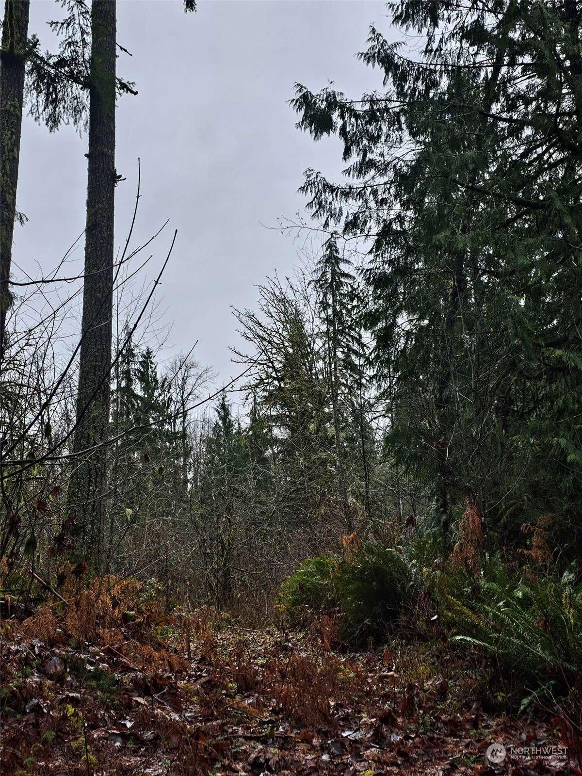 Property Photo:  15310  330th Way NE  WA 98019 