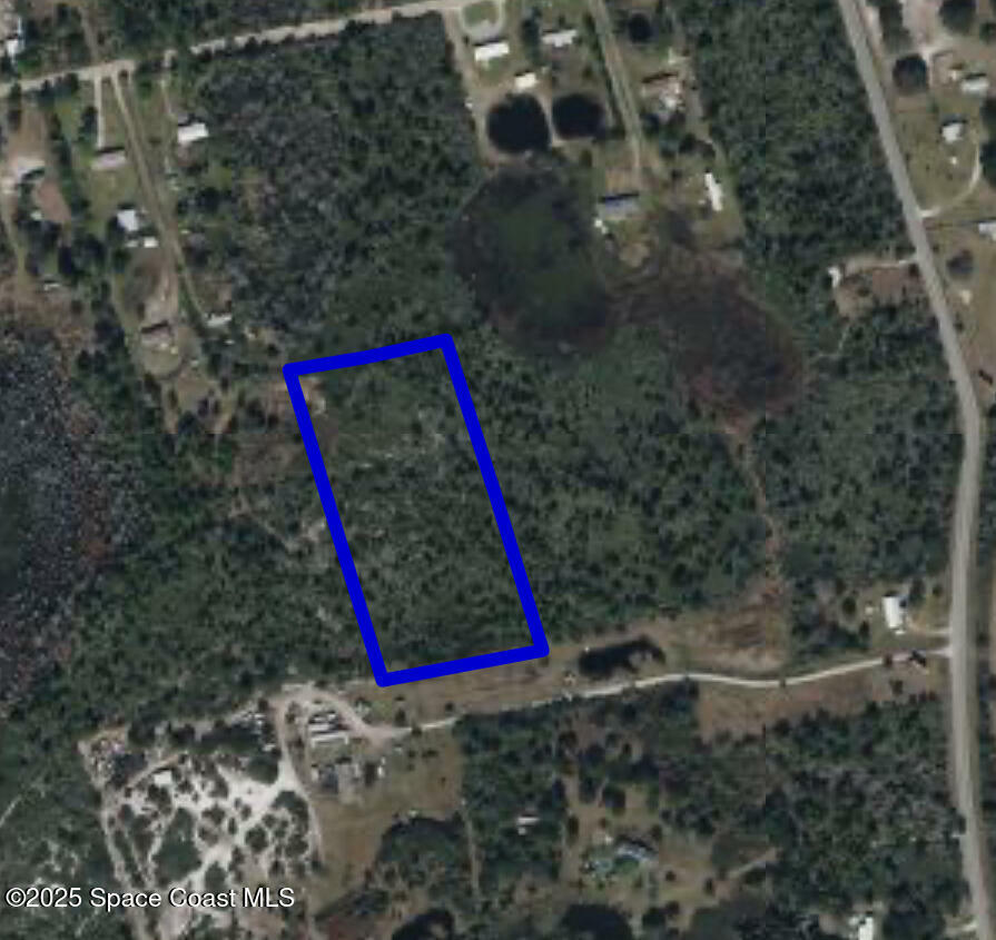 Property Photo: 0 Pine Needle Street FL 32754