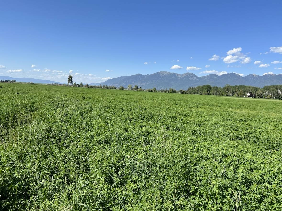 Property Photo: Tract 4 Sonstelie Road MT 59901