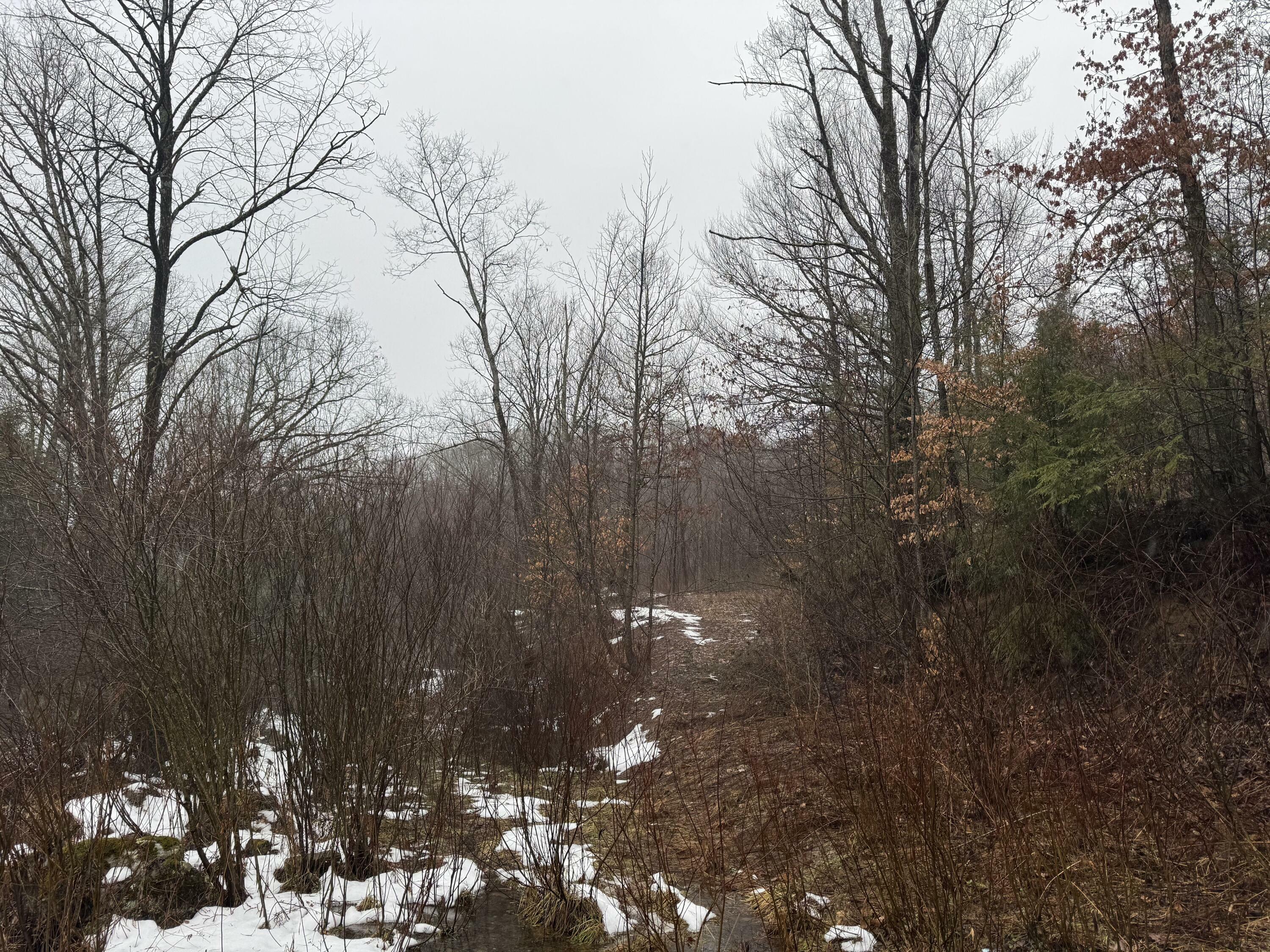 Property Photo:  727 Curtain Rd  WV 26205 