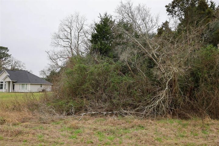 Property Photo:  0 Pearl Street  TX 77484 