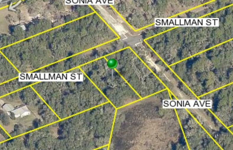 Property Photo: Smallman Street FL 33597