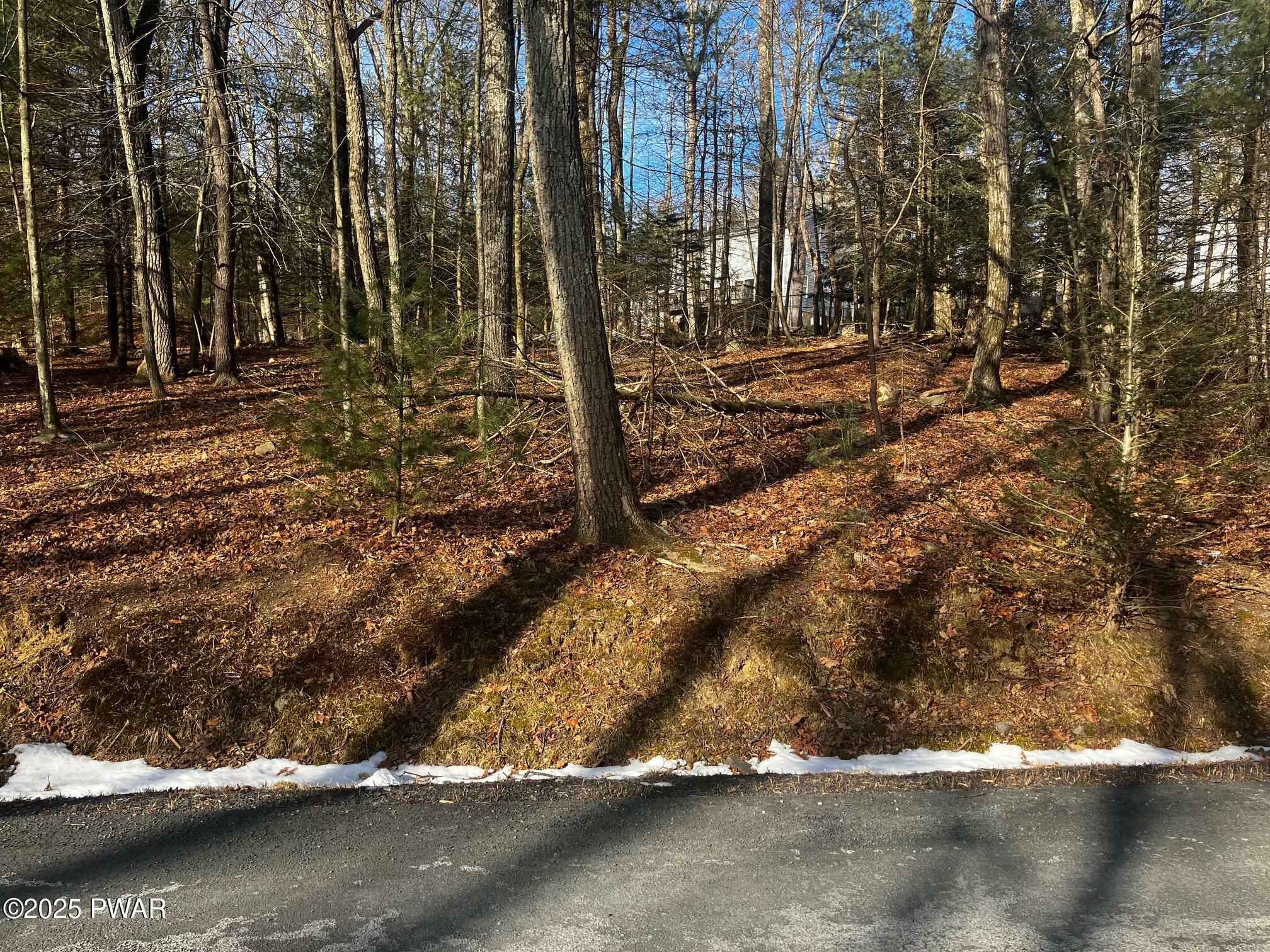 Property Photo:  Old Hickory/Outer Drive  PA 18328 