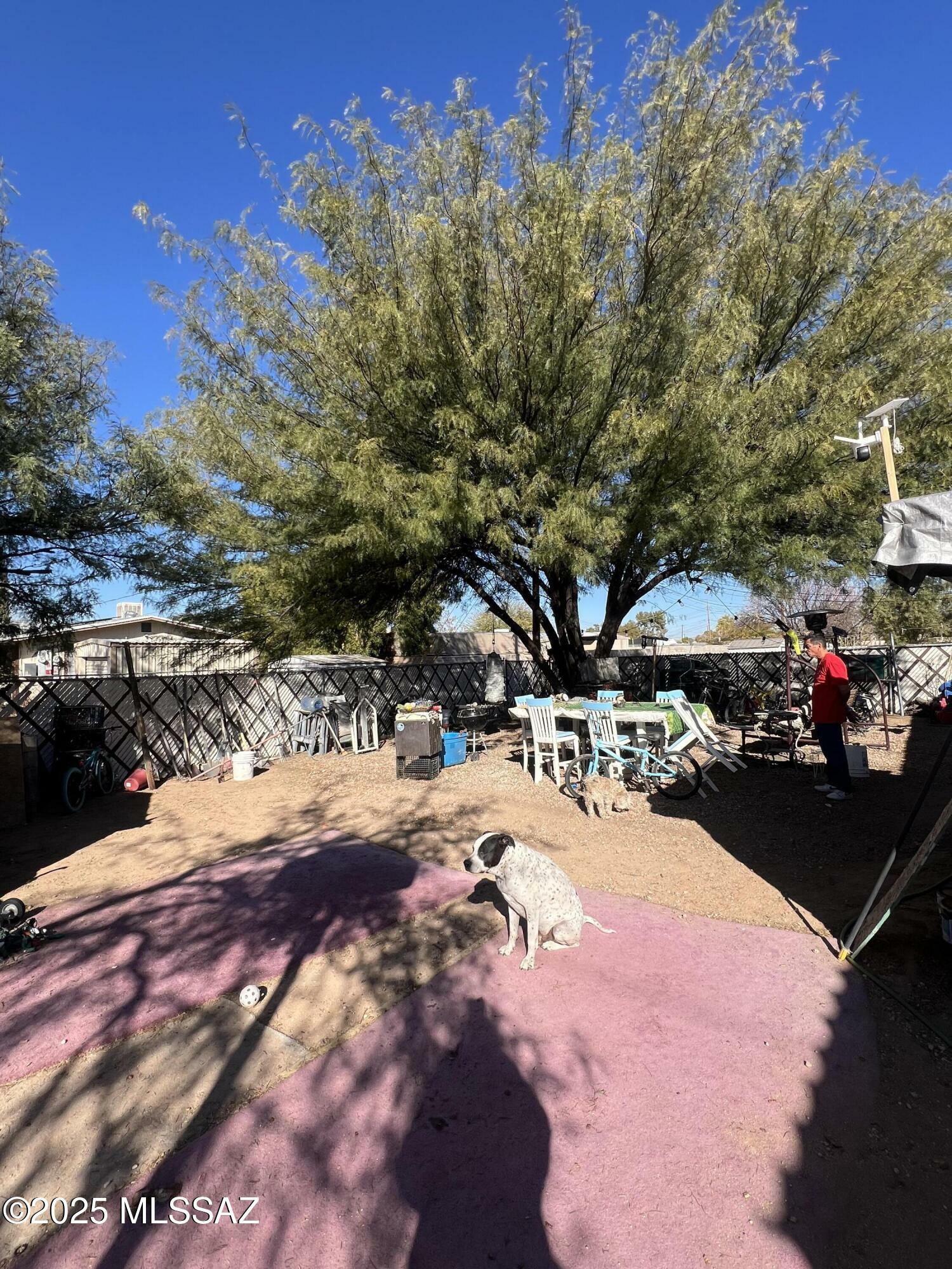 Property Photo:  7064 S San Fernando Road  AZ 85756 