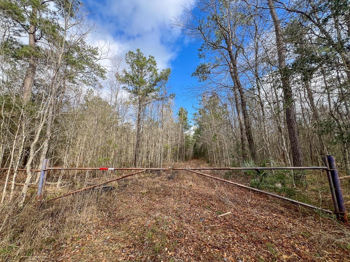 Property Photo:  0 Highway 12/ Linscomb Road  TX 77662 