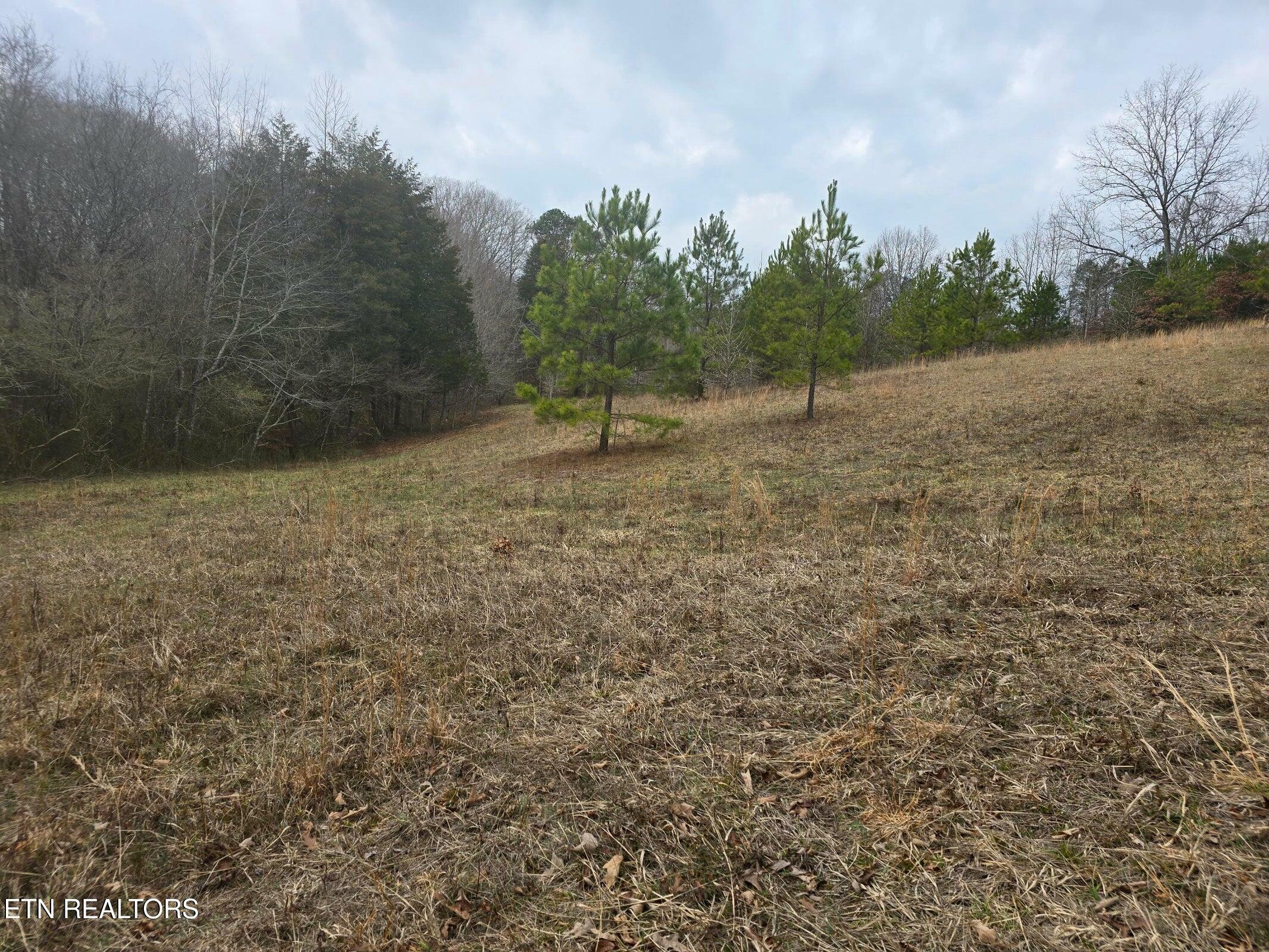 Property Photo:  16 Acres Highway 58  TN 37880 