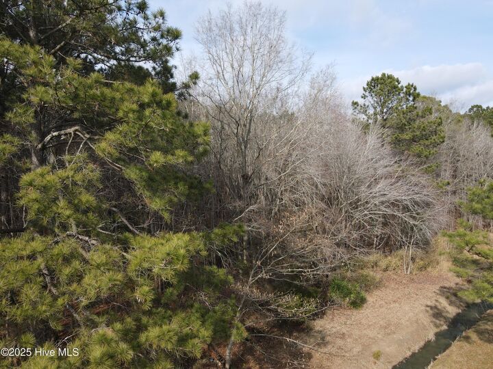 Property Photo: Tbd Highway 461 NC 27910