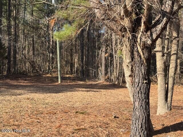 Property Photo:  Tbd Highway 461  NC 27910 