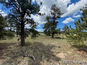 Property Photo:  322 Angus Circle  CO 80449 