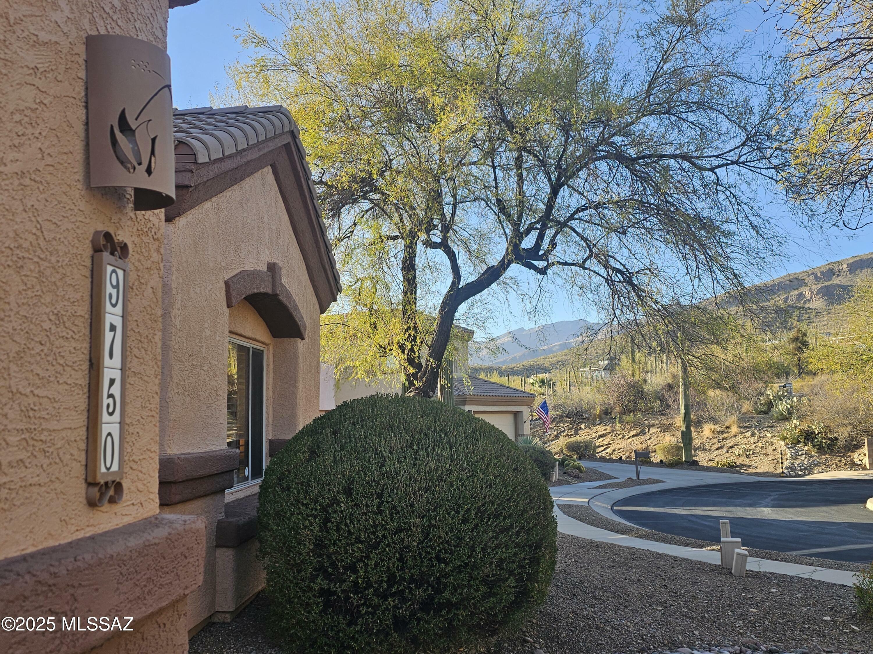 Property Photo:  9750 E Spring Ridge Place  AZ 85749 