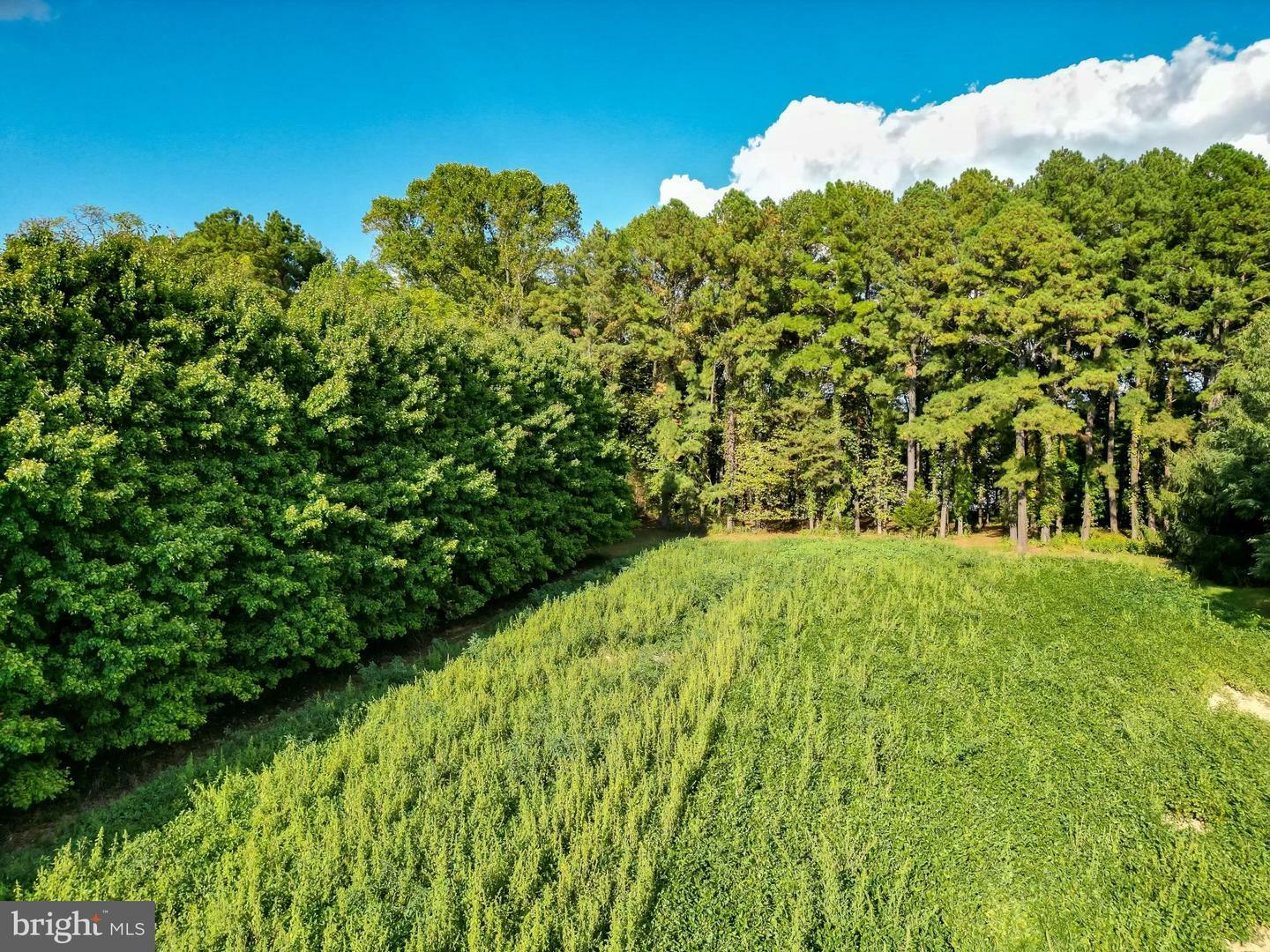 Property Photo: Walnut Point Road MD 21620