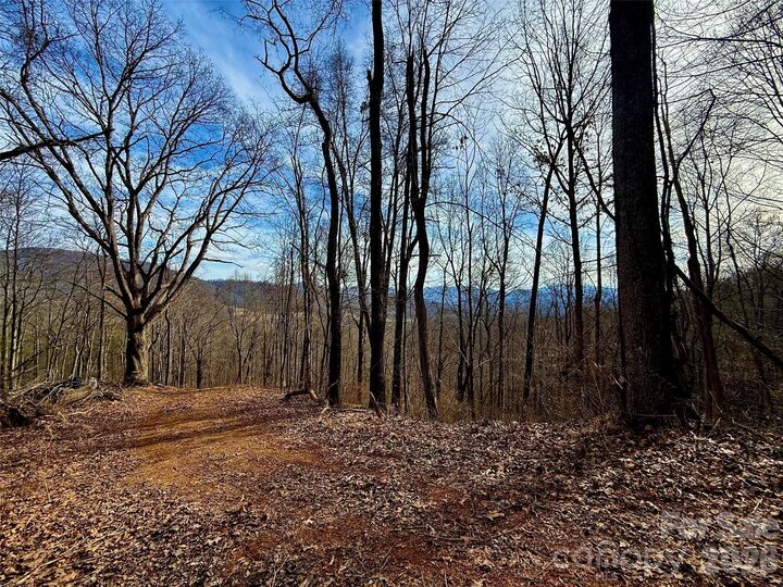 Property Photo: 672 Porters Ridge NC 28716