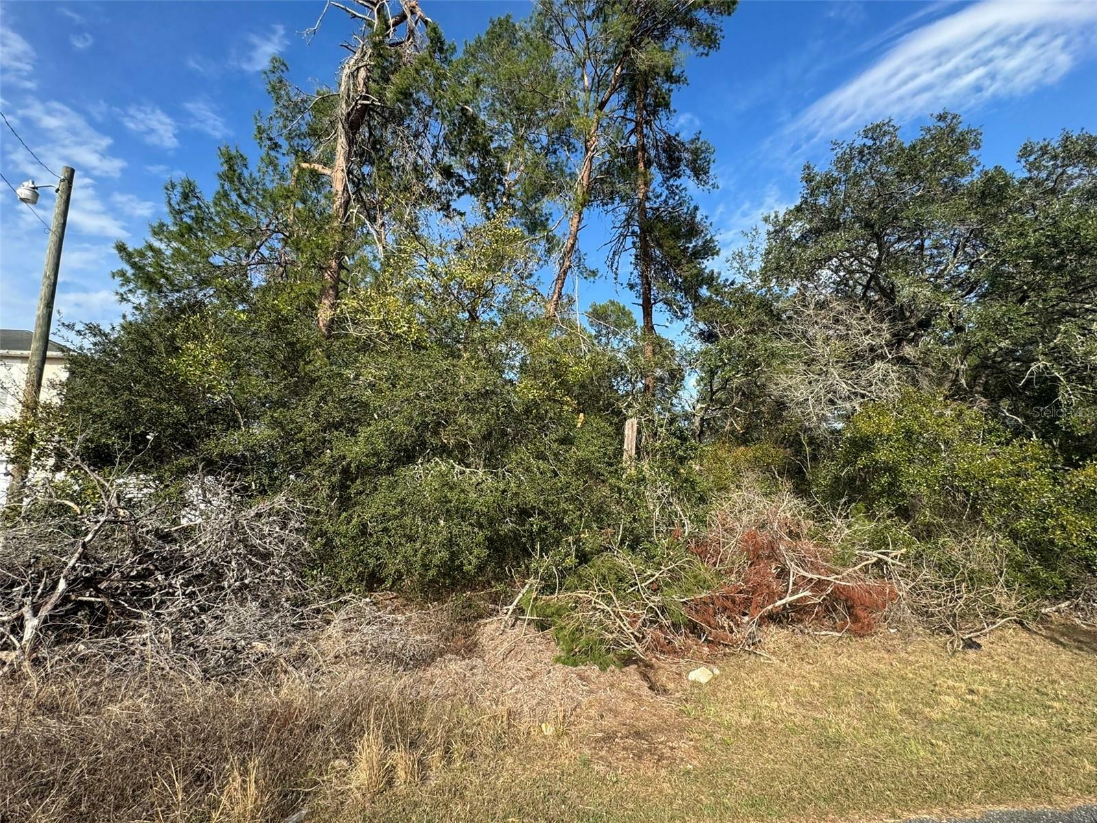 Property Photo:  0 SW 27th Terrace Road  FL 34473 