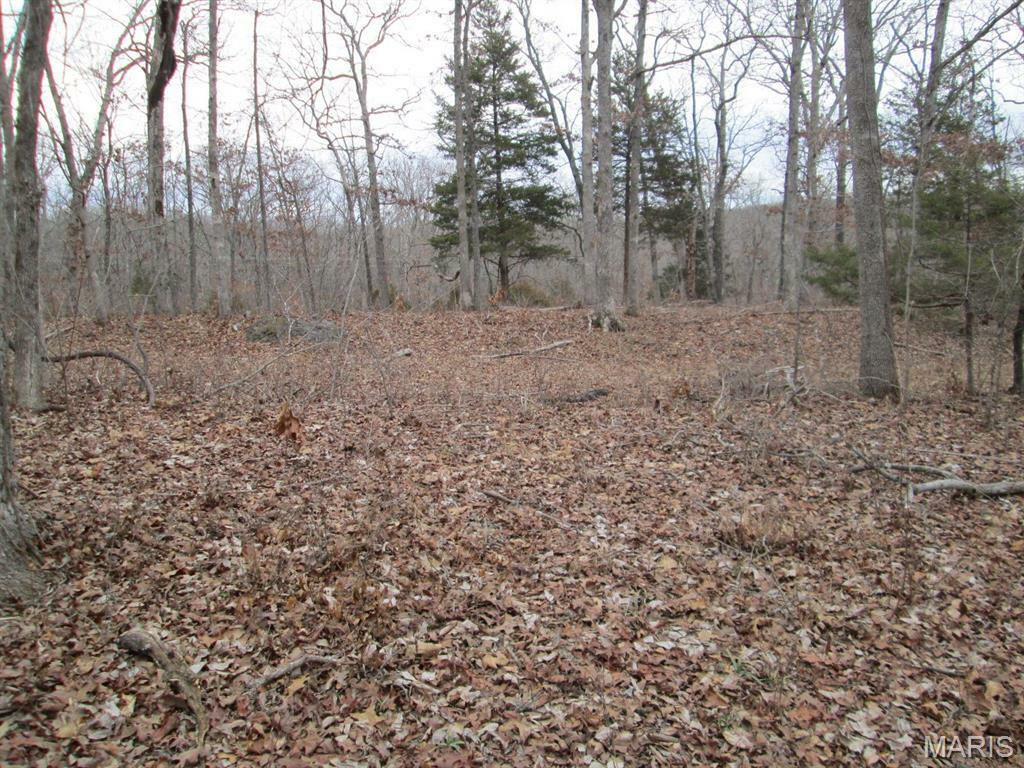 Property Photo: 0 Mo-30/Gravois Rd MO 63077