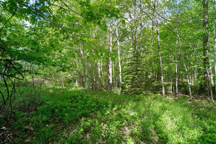 Property Photo:  27 Copperhead Road  NS B2T 1W2 
