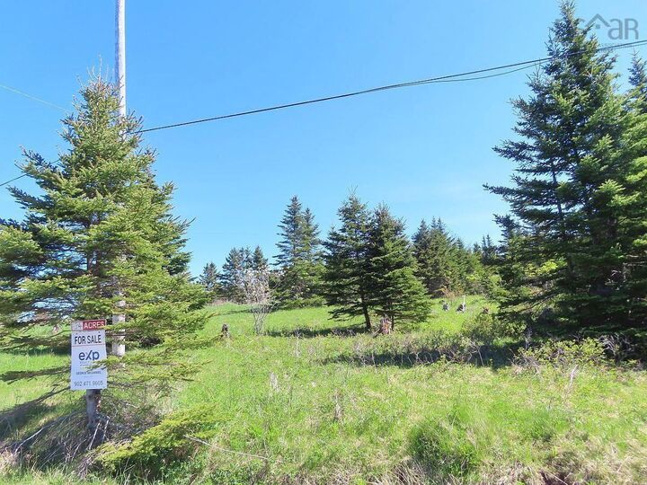 Property Photo:  Lot 4 Highway 4  NS B0E 3B0 