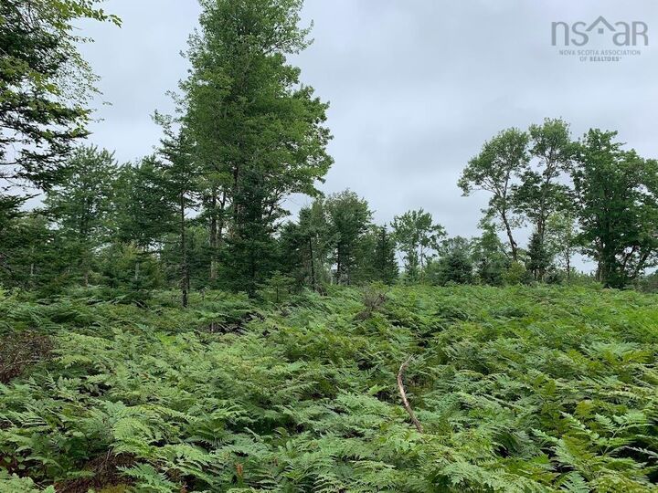 Property Photo:  Lot 4 Pleasant River Preserve  NS B0T 1X0 