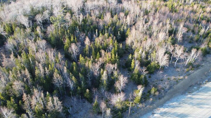 Property Photo:  Lot 21 Shieling Drive  NS B1K 0B3 