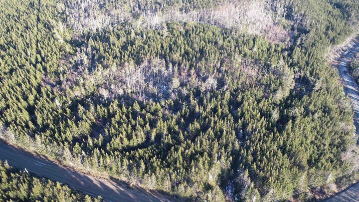 Property Photo:  Lot 6 Pyes Head Road  NS B0J 2A0 