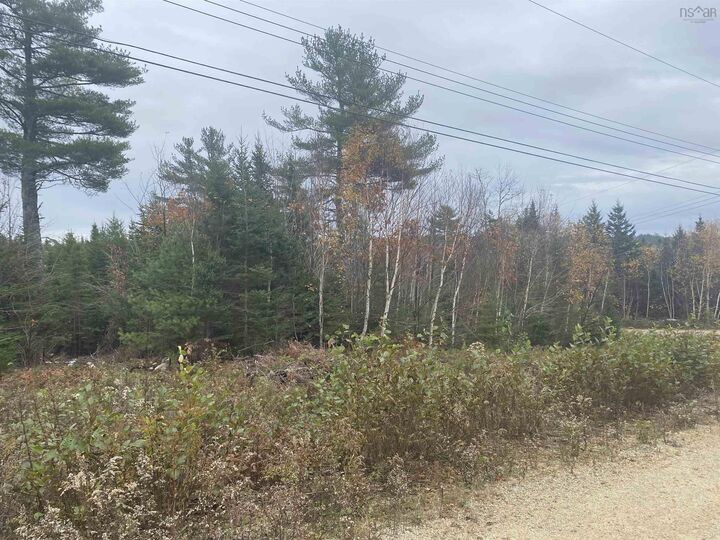 Lot 20 Noonan Lake Lane — photo 1