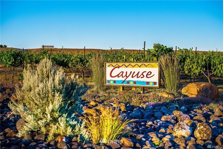 5096  Road 7.3  NE  Moses Lake WA 98837 photo