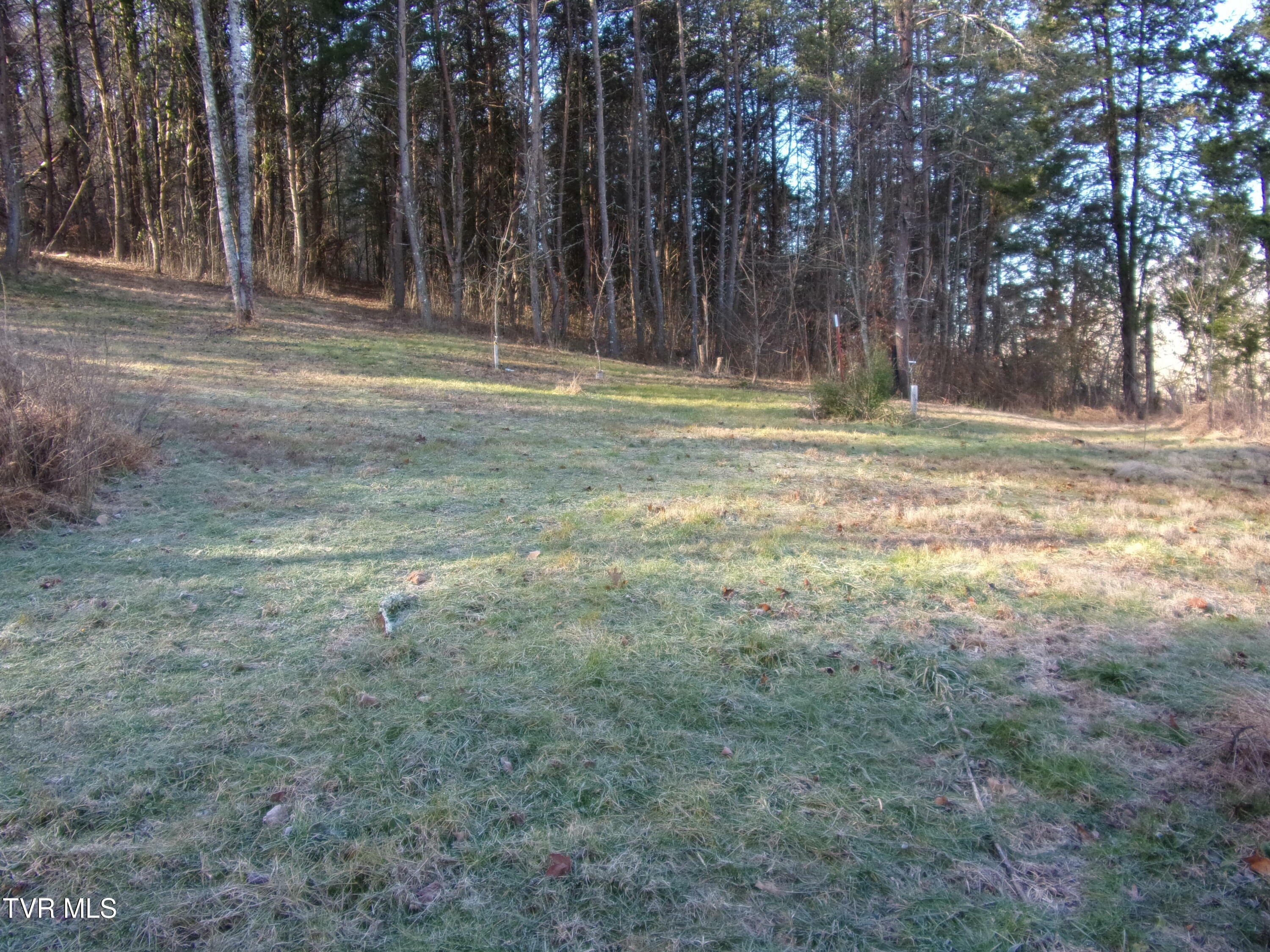 8615 Warrensburg Rd  Mosheim TN 37818 photo