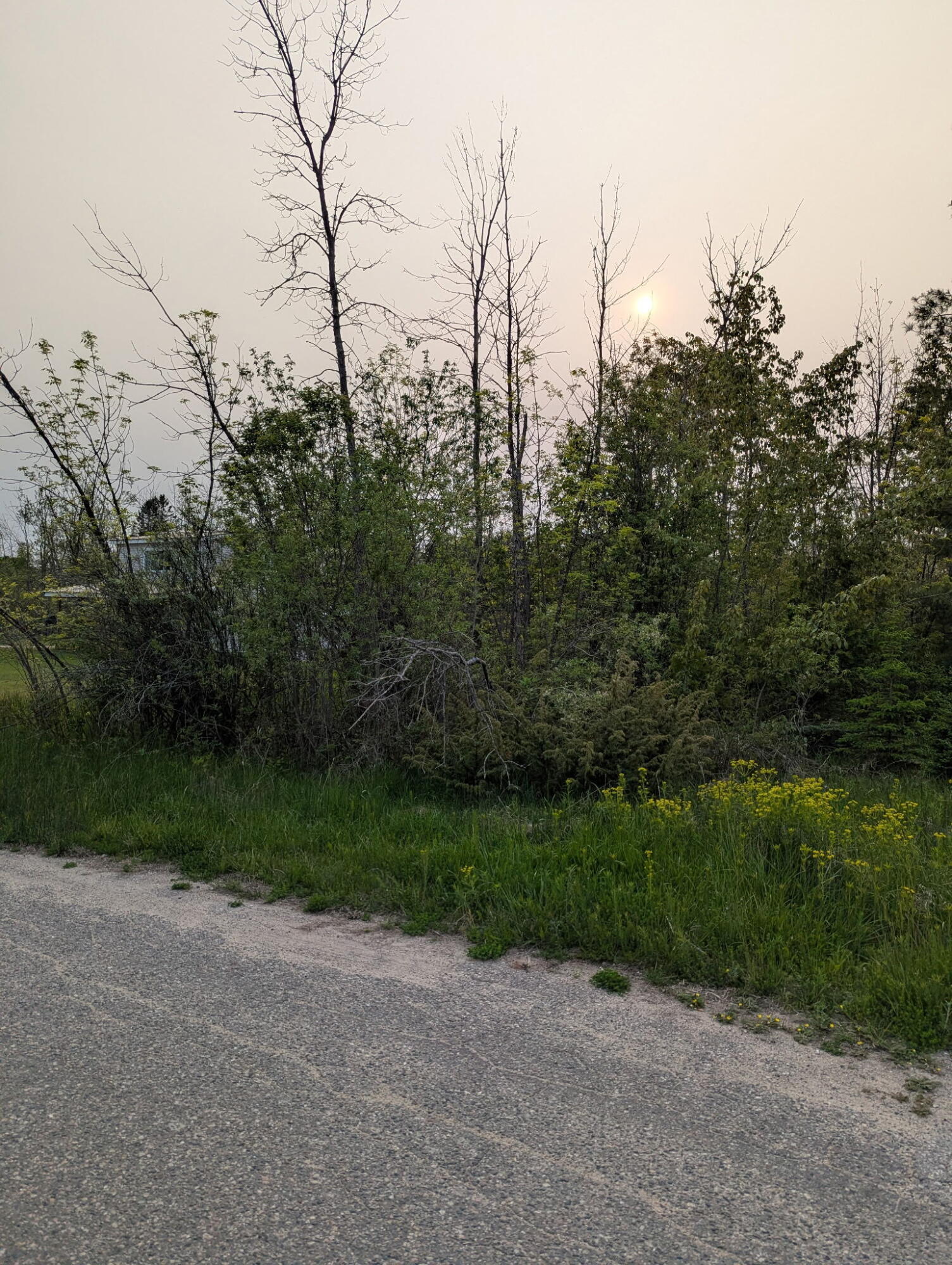 Property Photo:  Lot 8 N E Street  MI 49721 