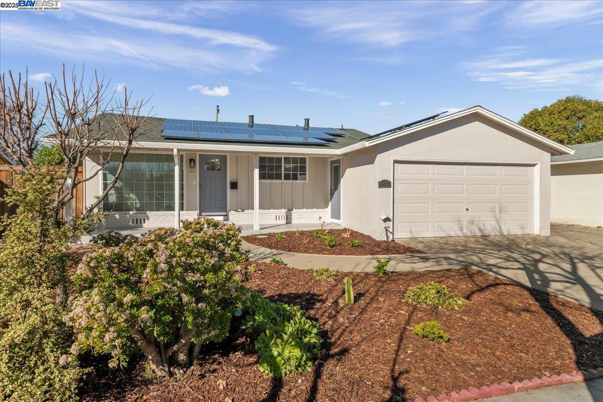 4431 Margery Dr  Fremont CA 94538 photo