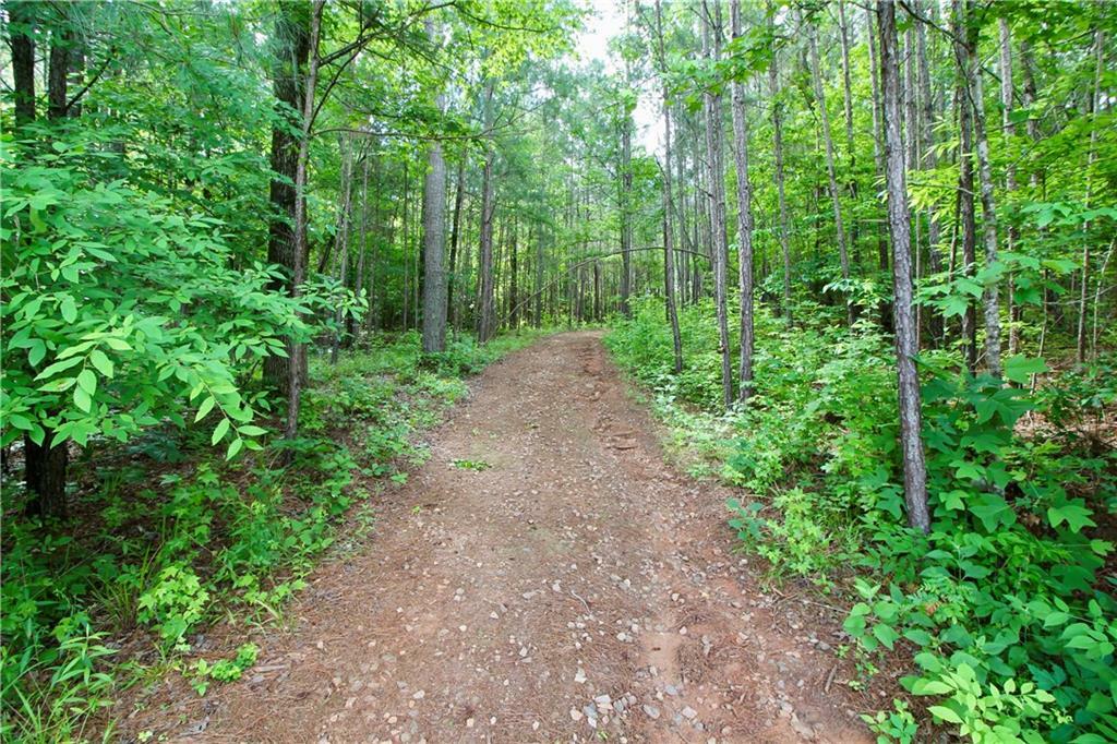 Property Photo:  207 River Overlook  GA 31029 