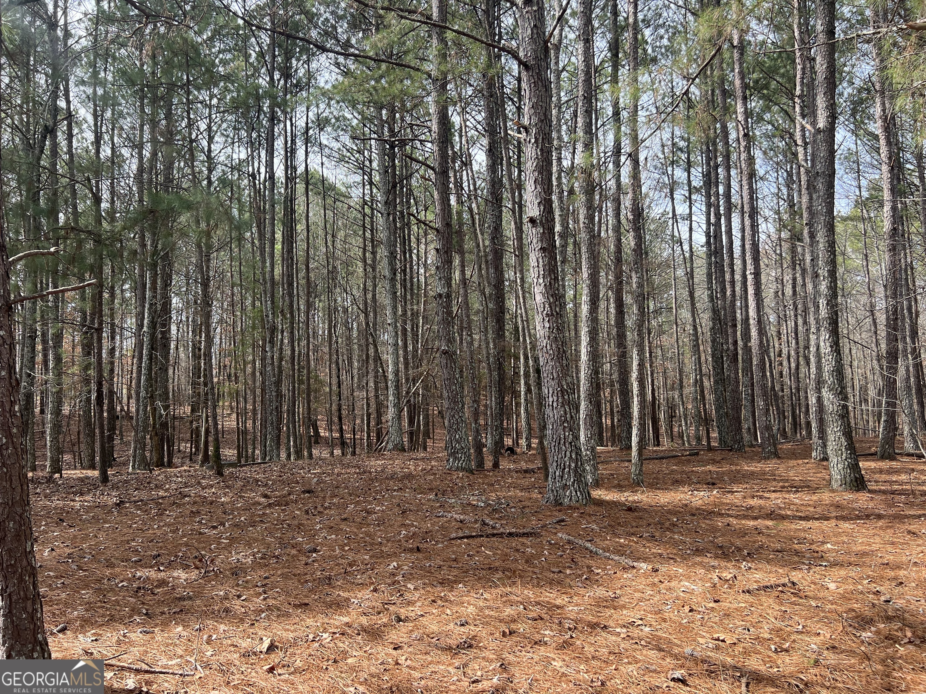 Property Photo:  325 Everett Springs Road NE  GA 30701 