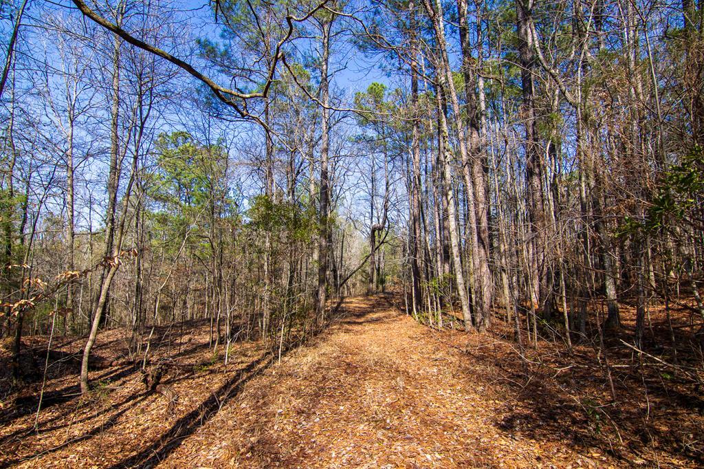 Property Photo:  0 Kings Gap Road  GA 31811 