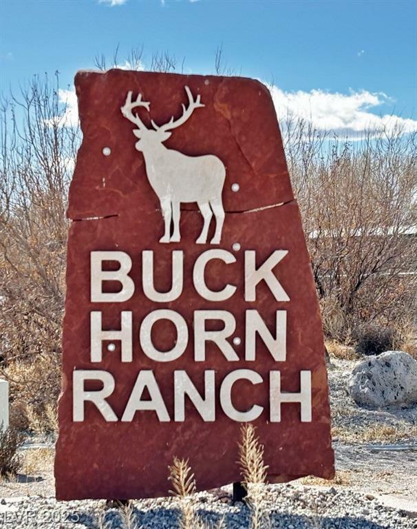 Property Photo: 2100 Buckhorn Road NV 89025