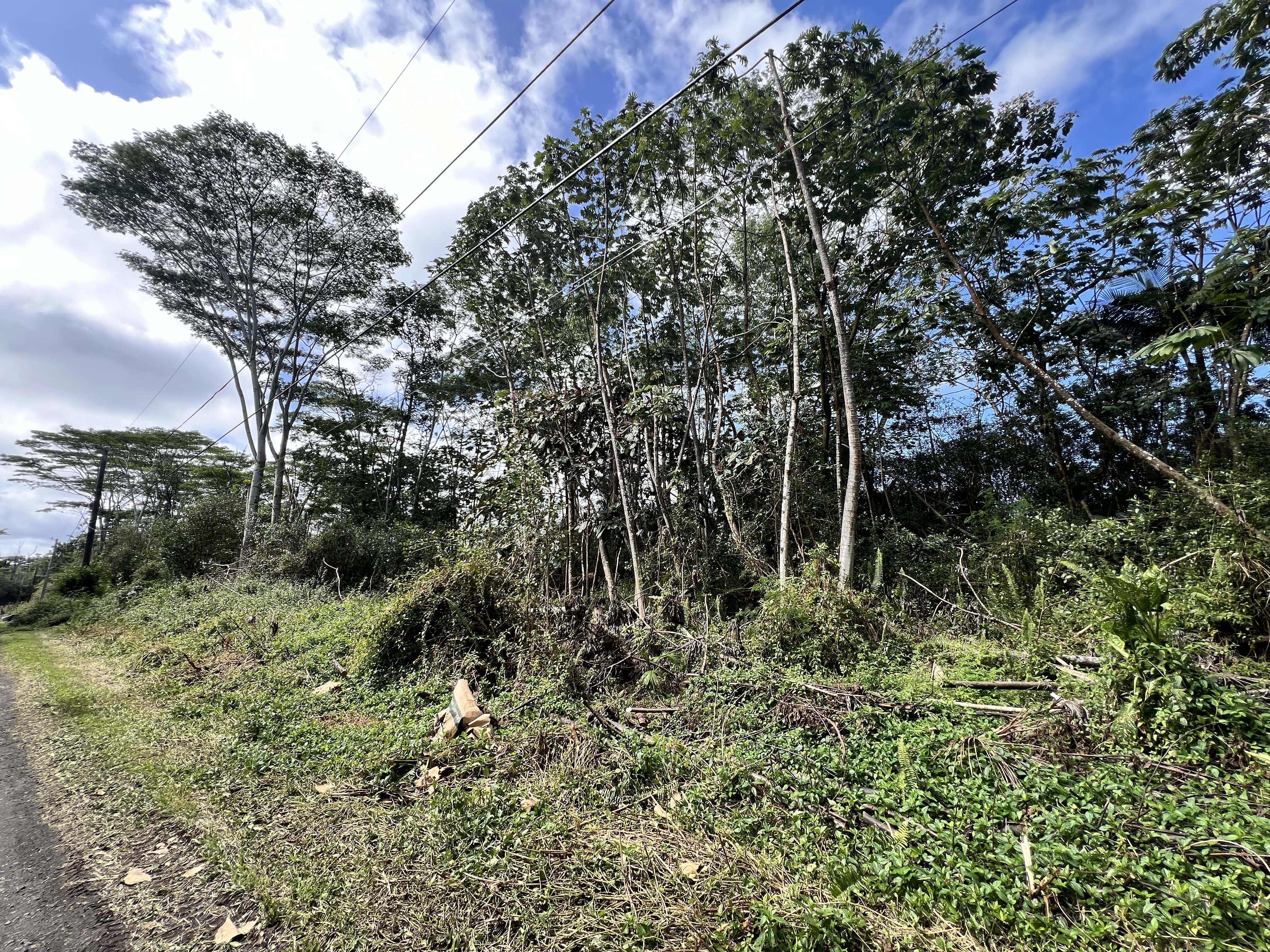 Property Photo:  Mauna Kea Rd  HI 96778 