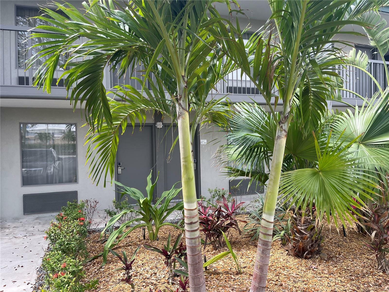 Property Photo: 7150 N Tamiami Trail S510 FL 34243