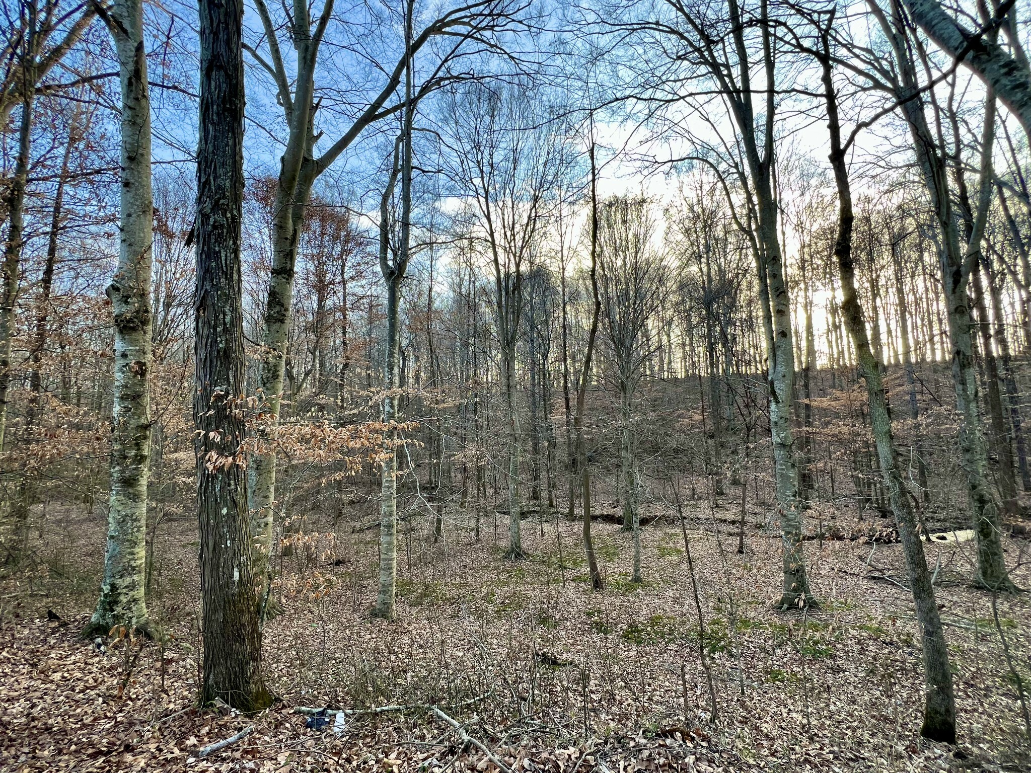 Property Photo:  0 Idaho Rd  TN 38468 