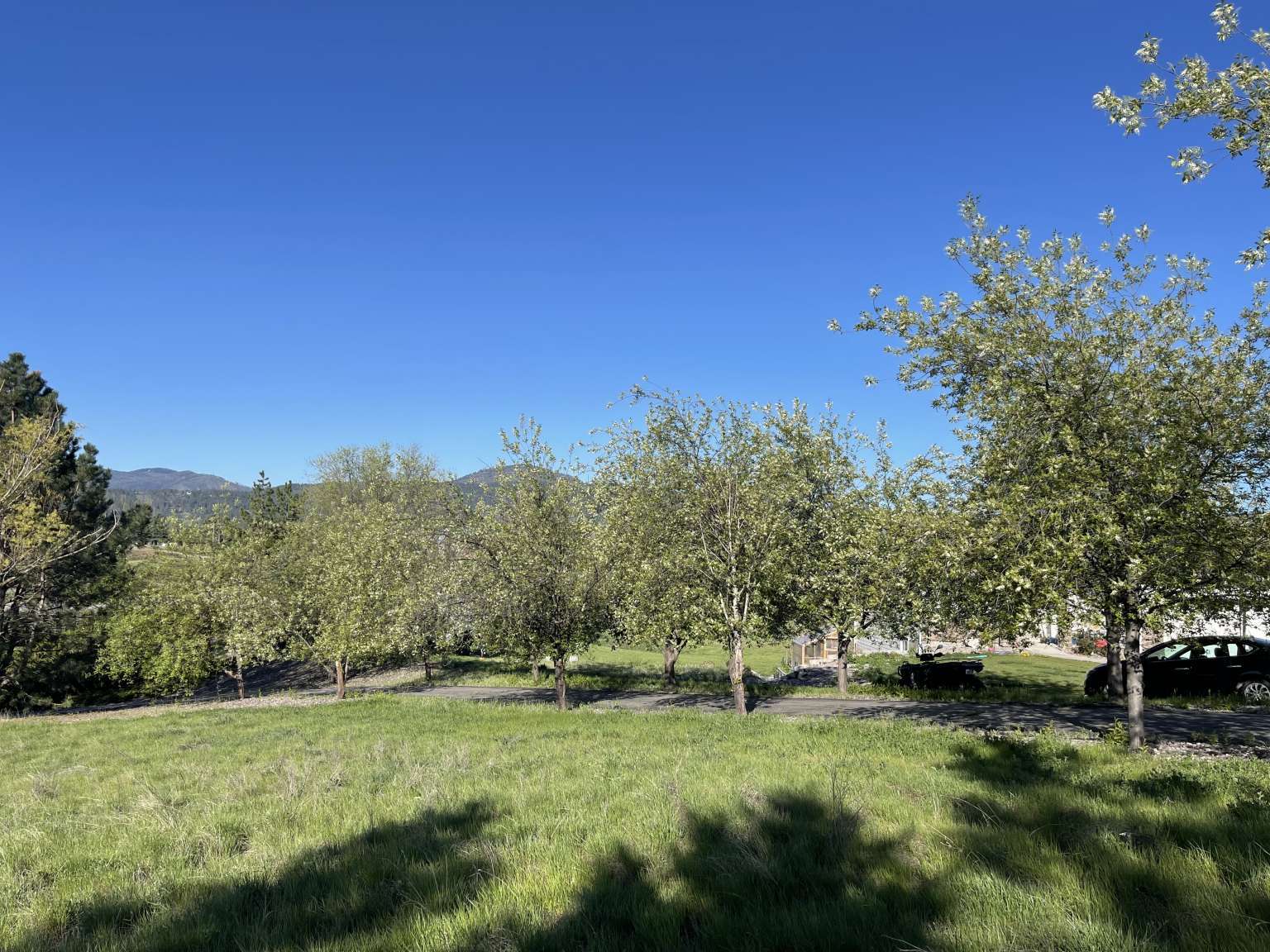 Property Photo: 7130 Buckhorn Lane MT 59808