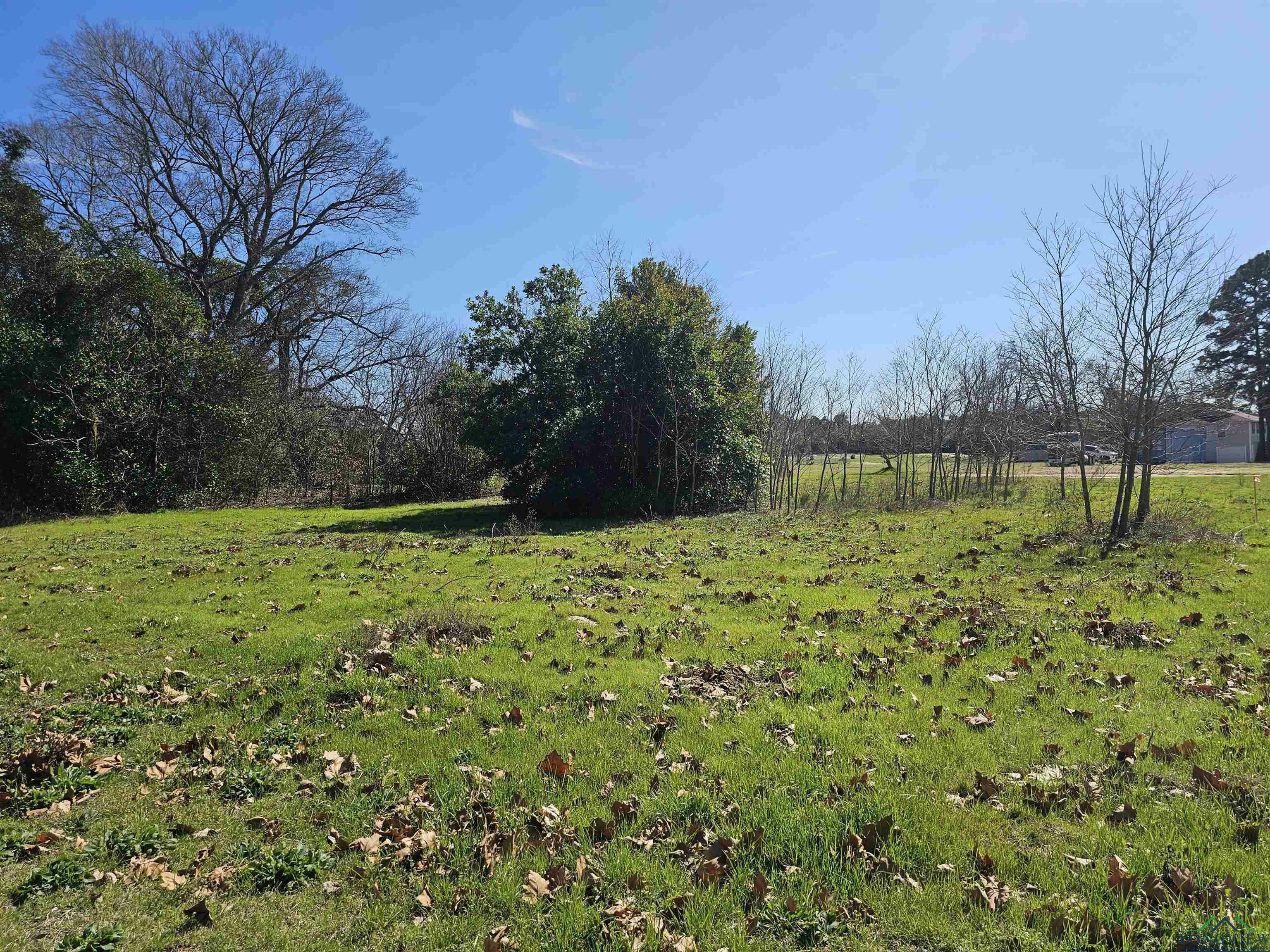 Property Photo:  Tbd Fm 1002 (.7229 Acres)  TX 75755 