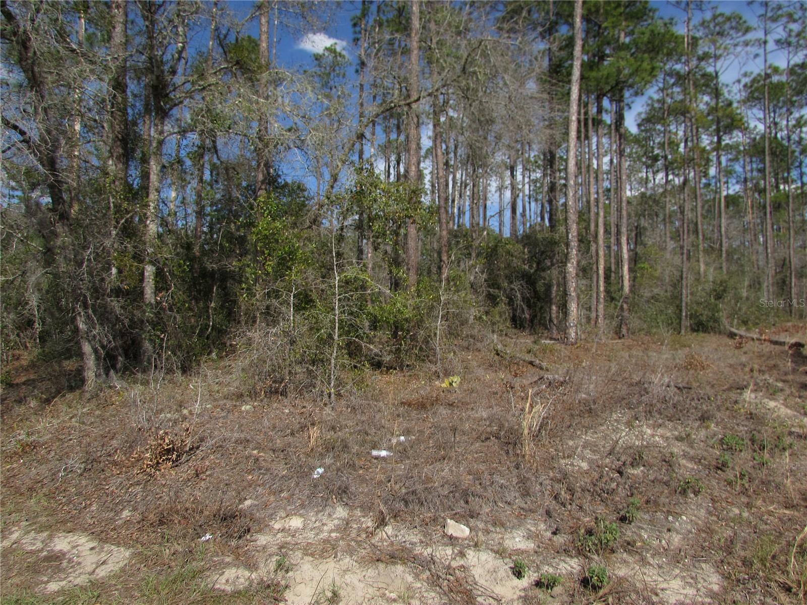 Property Photo:  Lot 16 SW Westview Avenue  FL 34431 