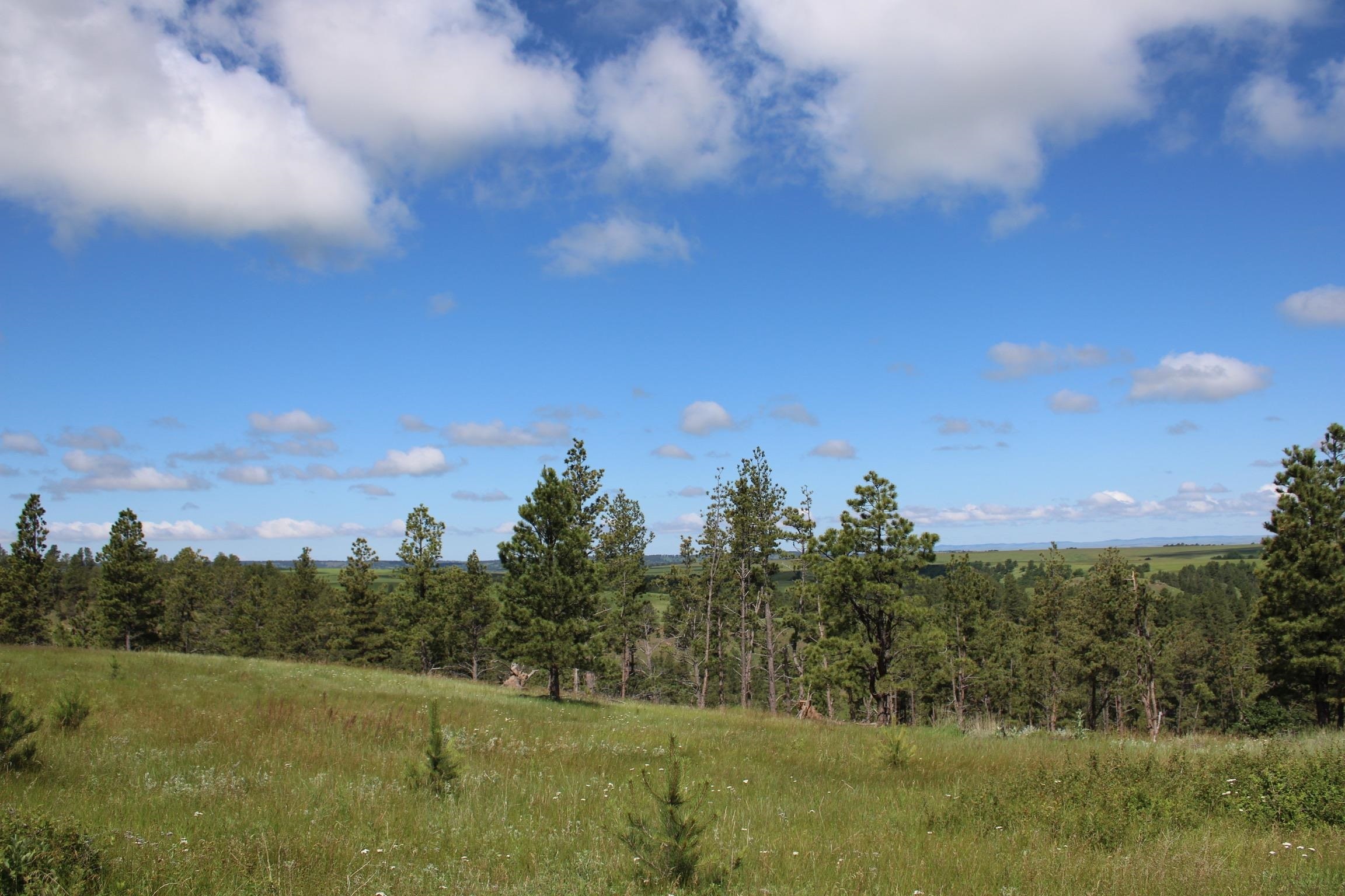 Property Photo: Tract 24 Thrill Hill Road WY 82720-9999