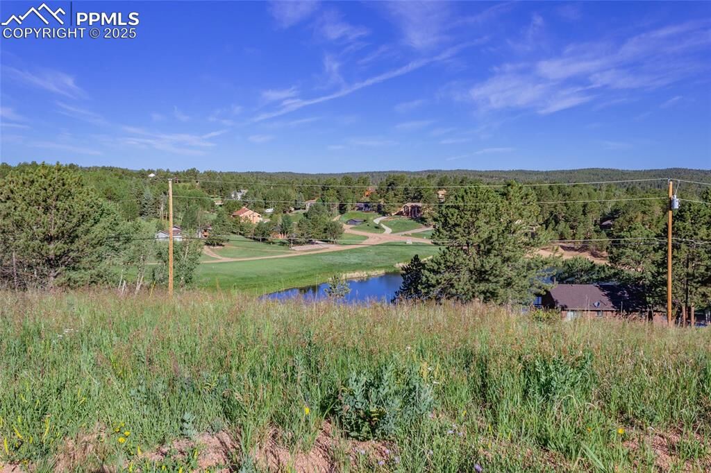 Property Photo:  288 Piney Point Lane  CO 80863 