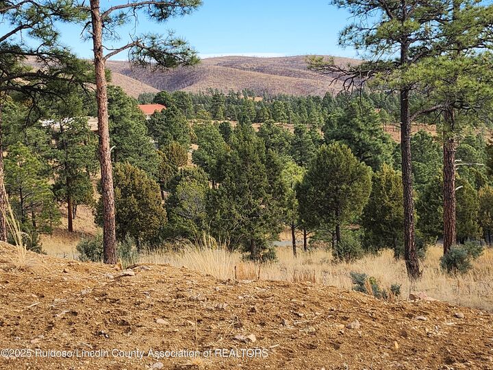 143 Charles McClellan Drive  Ruidoso NM 88345 photo