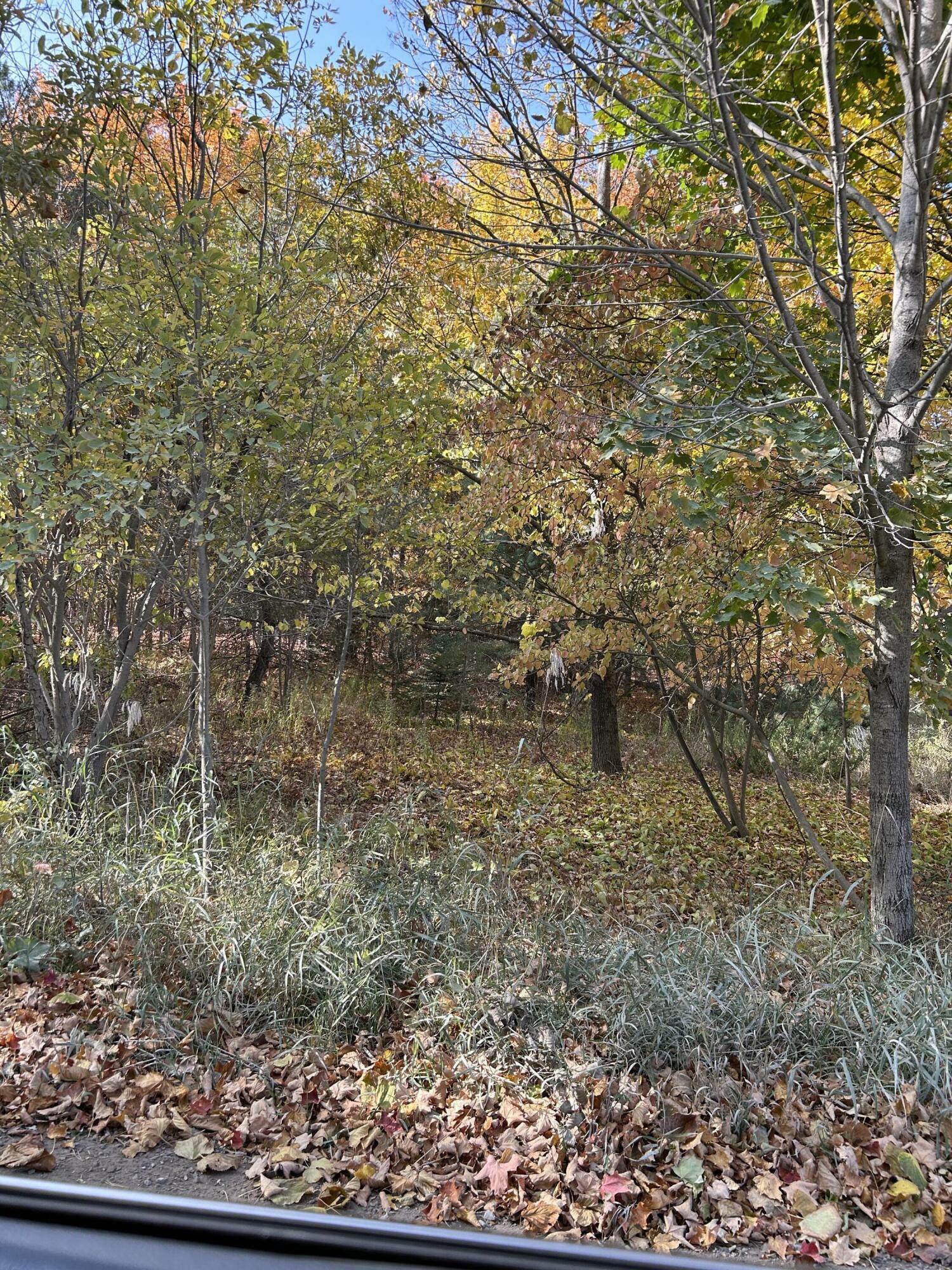 Property Photo:  Indian Trail Road  MI 49721 