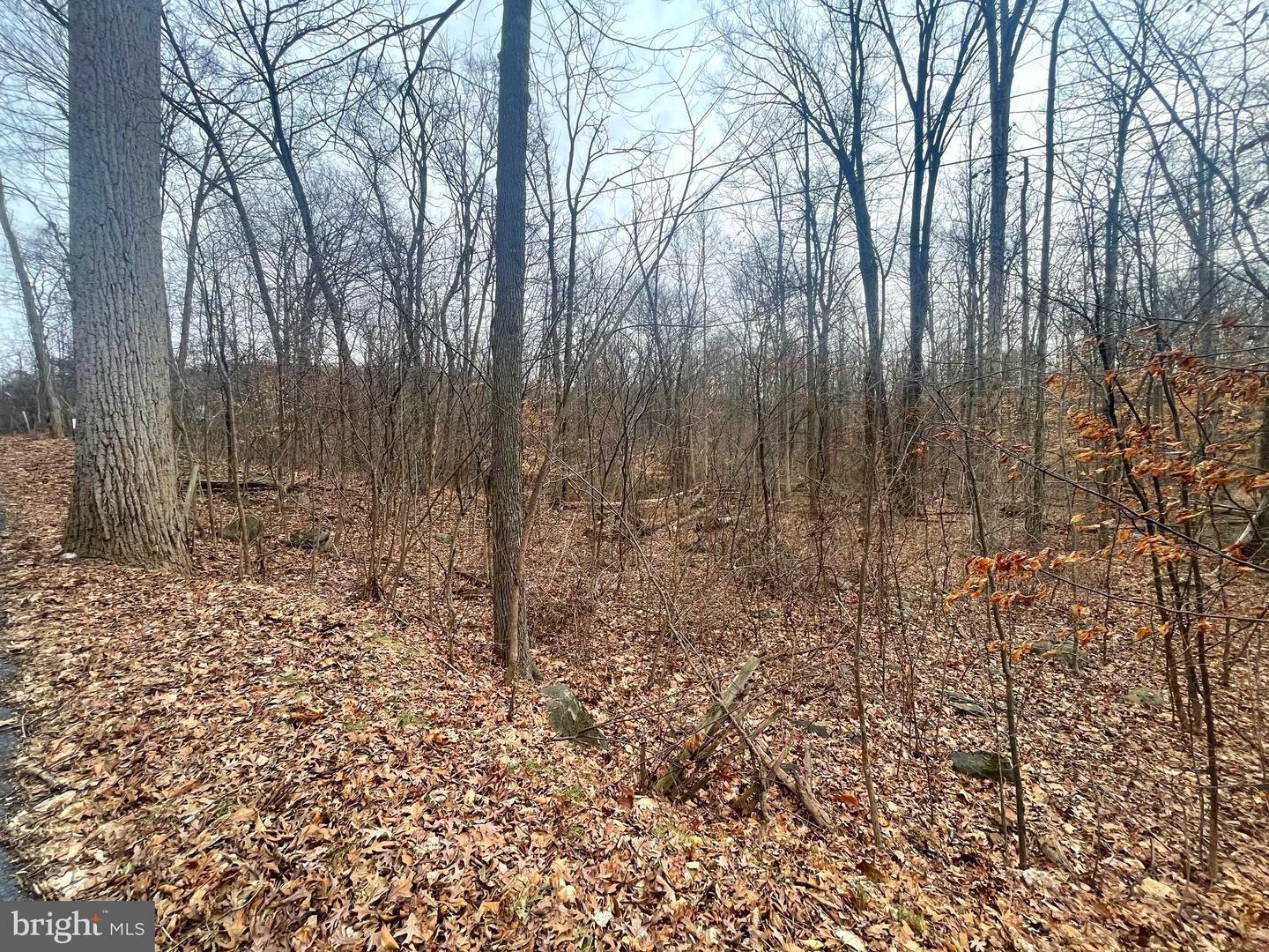 Property Photo:  163 Blair Mountain Road  PA 17019 