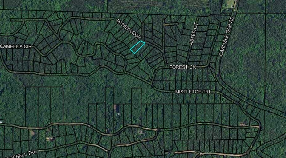 Property Photo:  Blk 79 Lot 07 Pansy Loop  GA 31831 